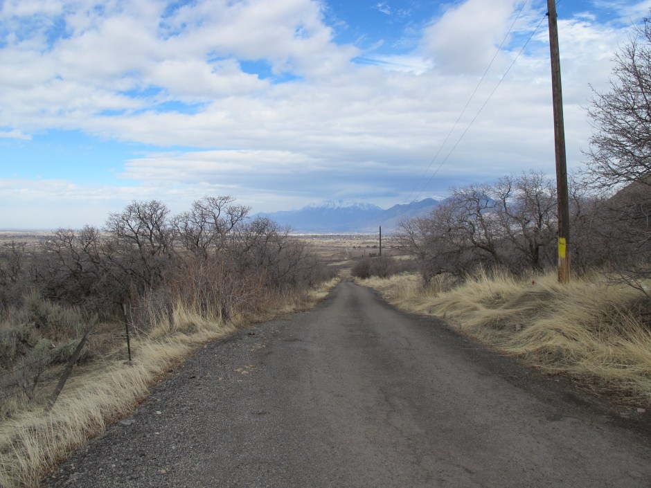 Landcape Near Salem, UT